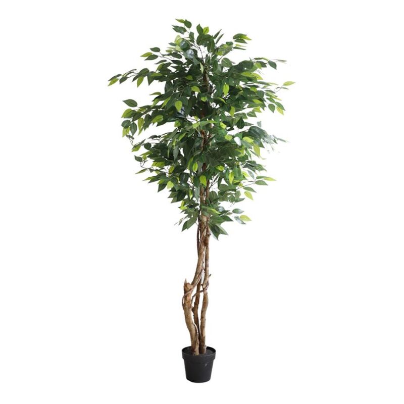 FICUS TREE NP5208_150   ΥΨΟΣ 150cm NewPlan