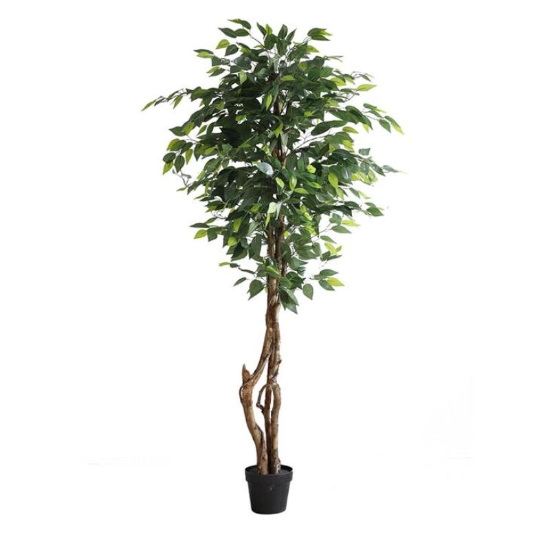 FICUS TREE NP5209_180  ΥΨΟΣ 180cm NewPlan