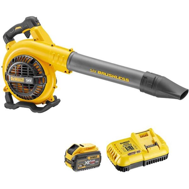 ΦΥΣΗΤΗΡΕΣ DEWALT DCM572X1 54V 1x9Ah